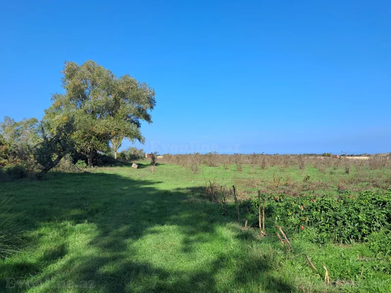 Satılır Torpaq 200 sot Xaçmaz - şəkil 3