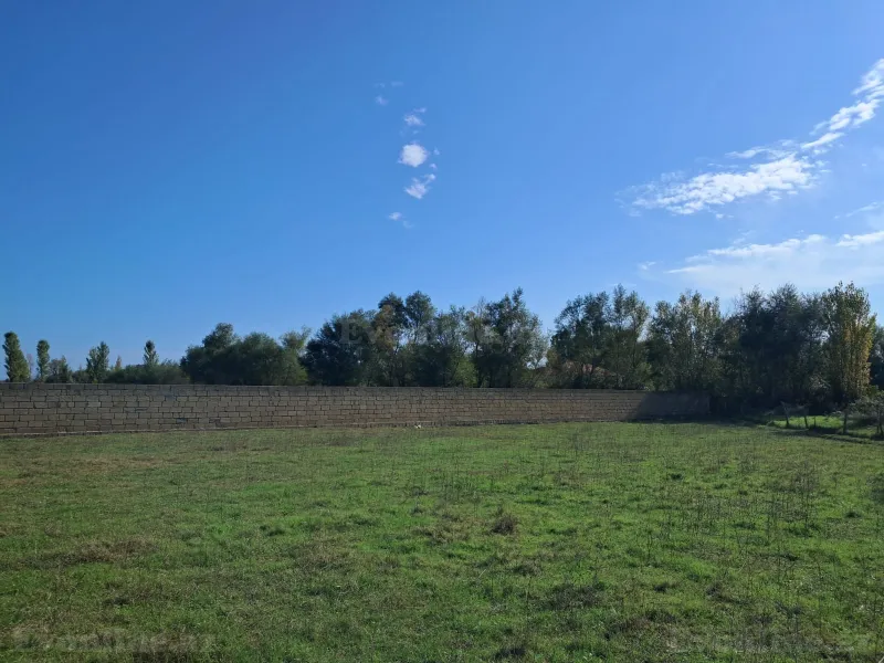 Satılır Torpaq 200 sot Xaçmaz - şəkil 6