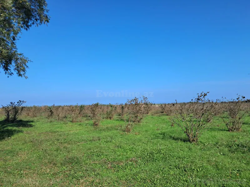 Satılır Torpaq 200 sot Xaçmaz - şəkil 7