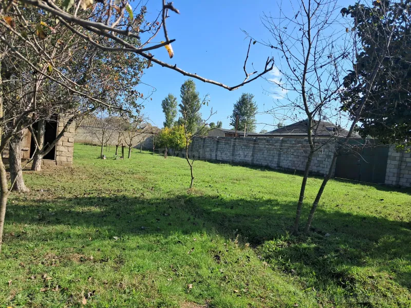 Satılır Torpaq 200 sot Xaçmaz - şəkil 9