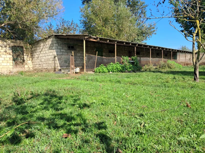 Satılır Torpaq 200 sot Xaçmaz - şəkil 10