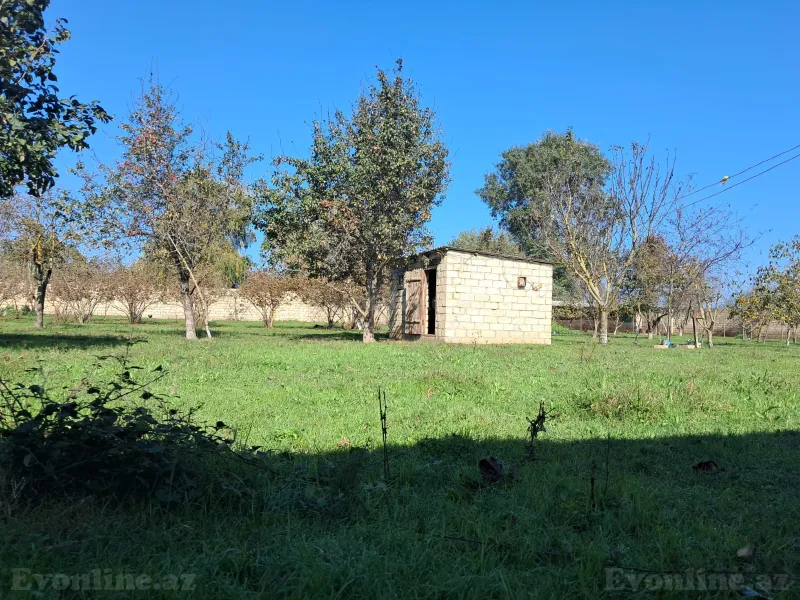 Satılır Torpaq 200 sot Xaçmaz - şəkil 11