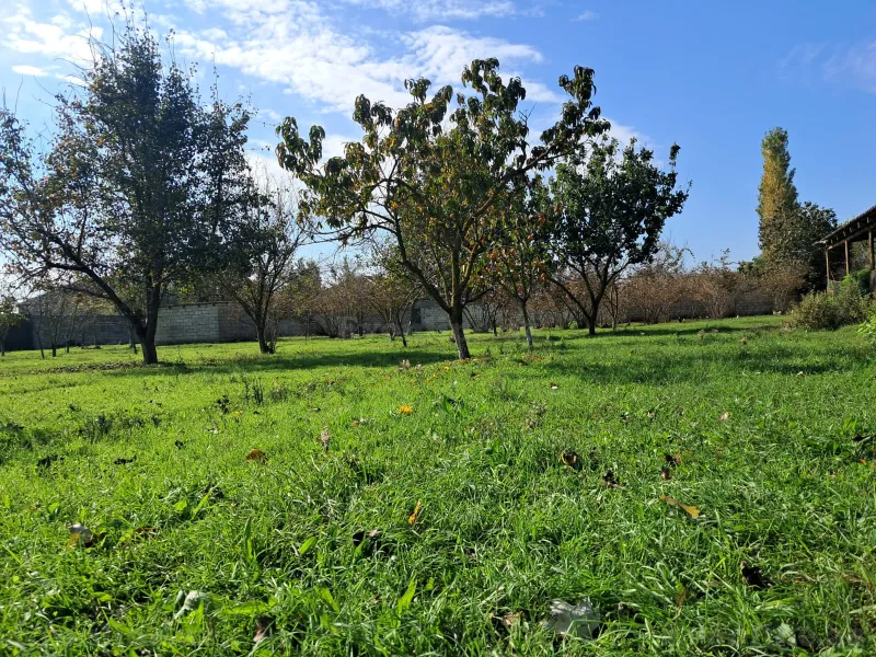 Satılır Torpaq 200 sot Xaçmaz - şəkil 13