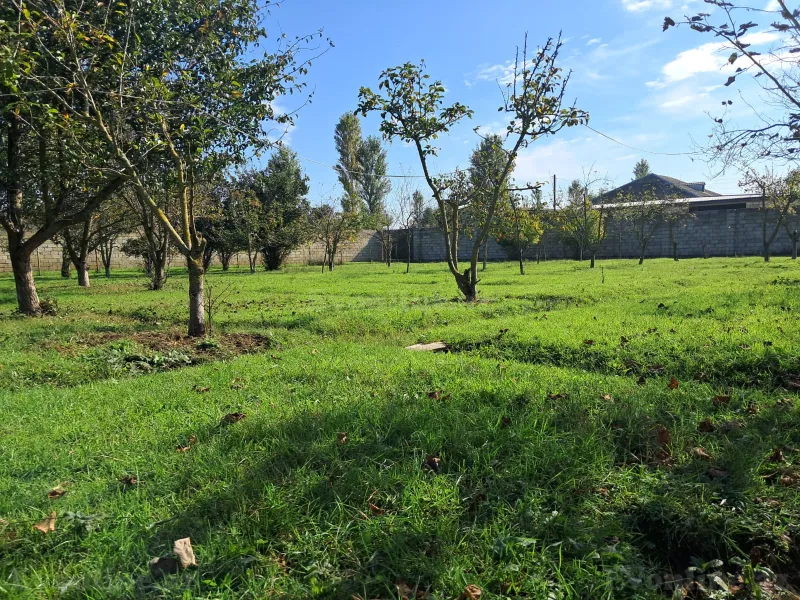 Satılır Torpaq 200 sot Xaçmaz - şəkil 15