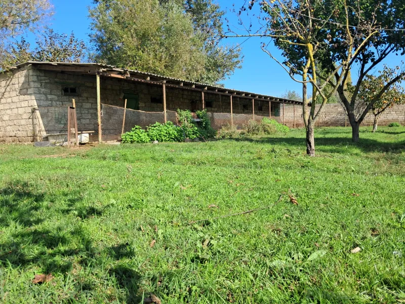 Satılır Torpaq 200 sot Xaçmaz - şəkil 19