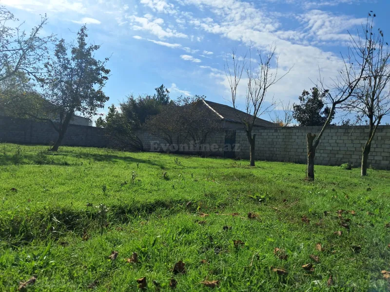 Satılır Torpaq 200 sot Xaçmaz - şəkil 20