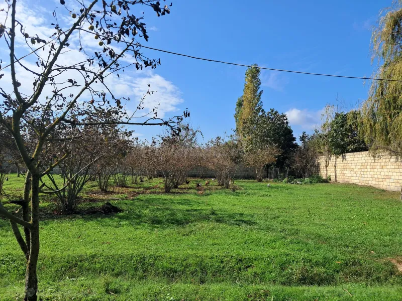 Satılır Torpaq 200 sot Xaçmaz - şəkil 23