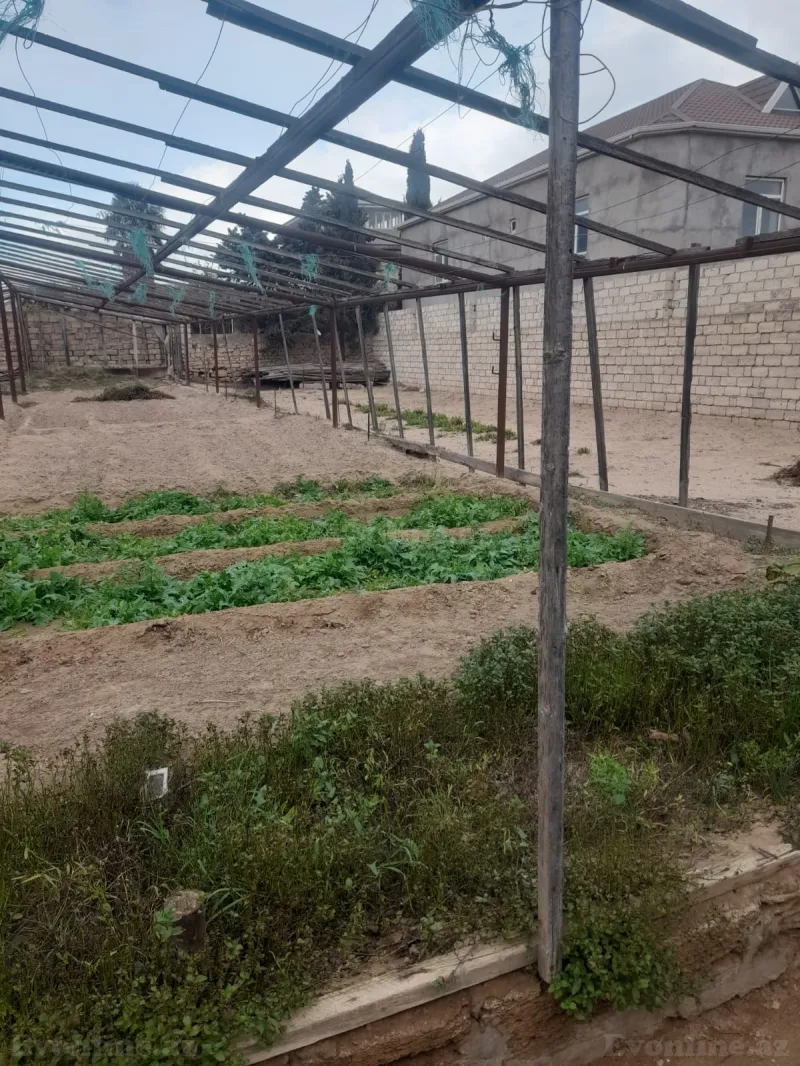 Satılır Torpaq 5 sot Buzovna - şəkil 3