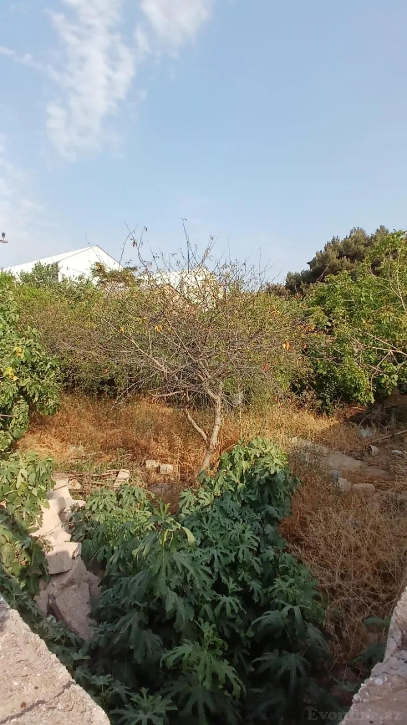 Satılır Torpaq 3 sot Bakıxanov - şəkil 2