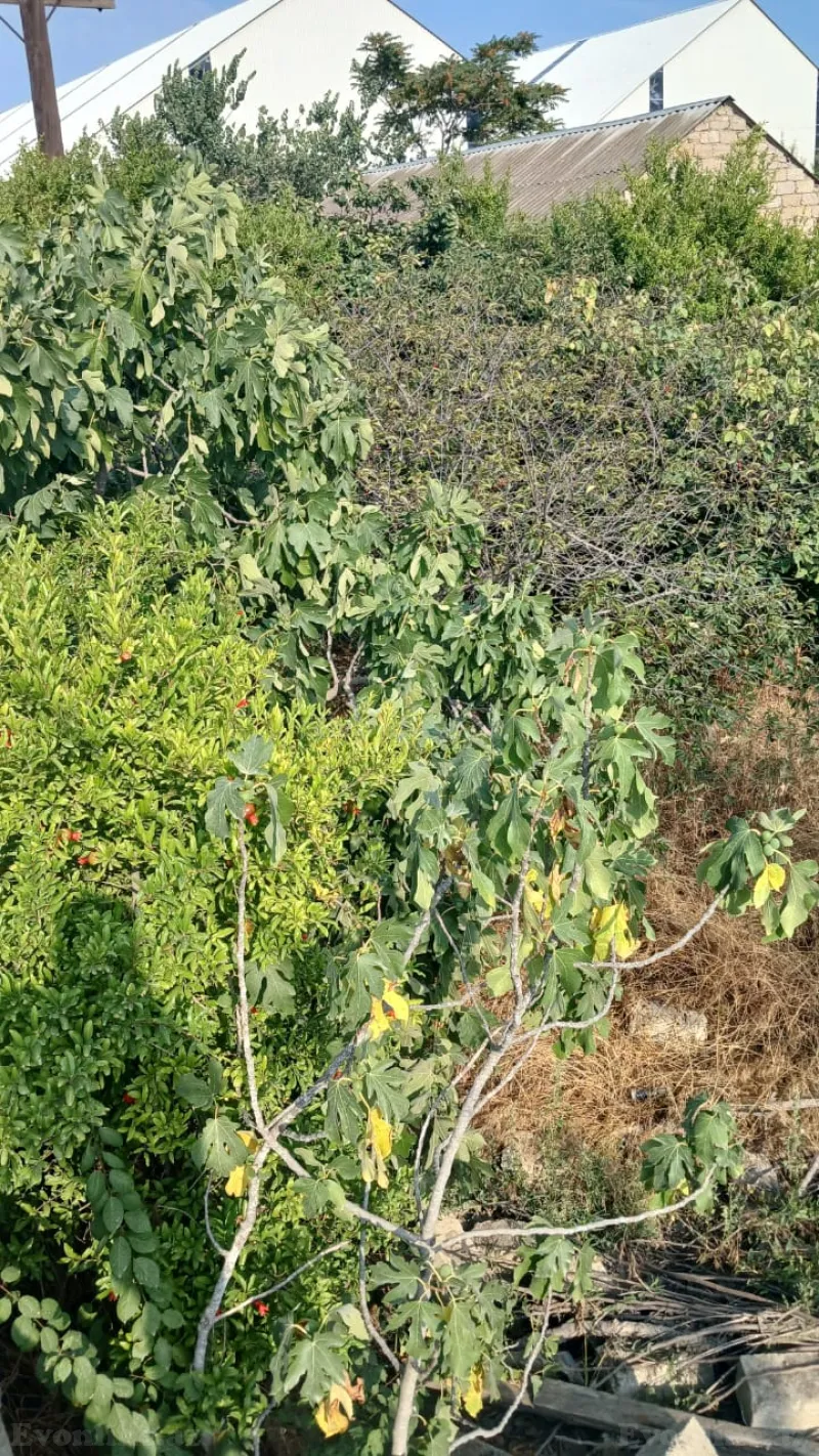 Satılır Torpaq 3 sot Bakıxanov - şəkil 5