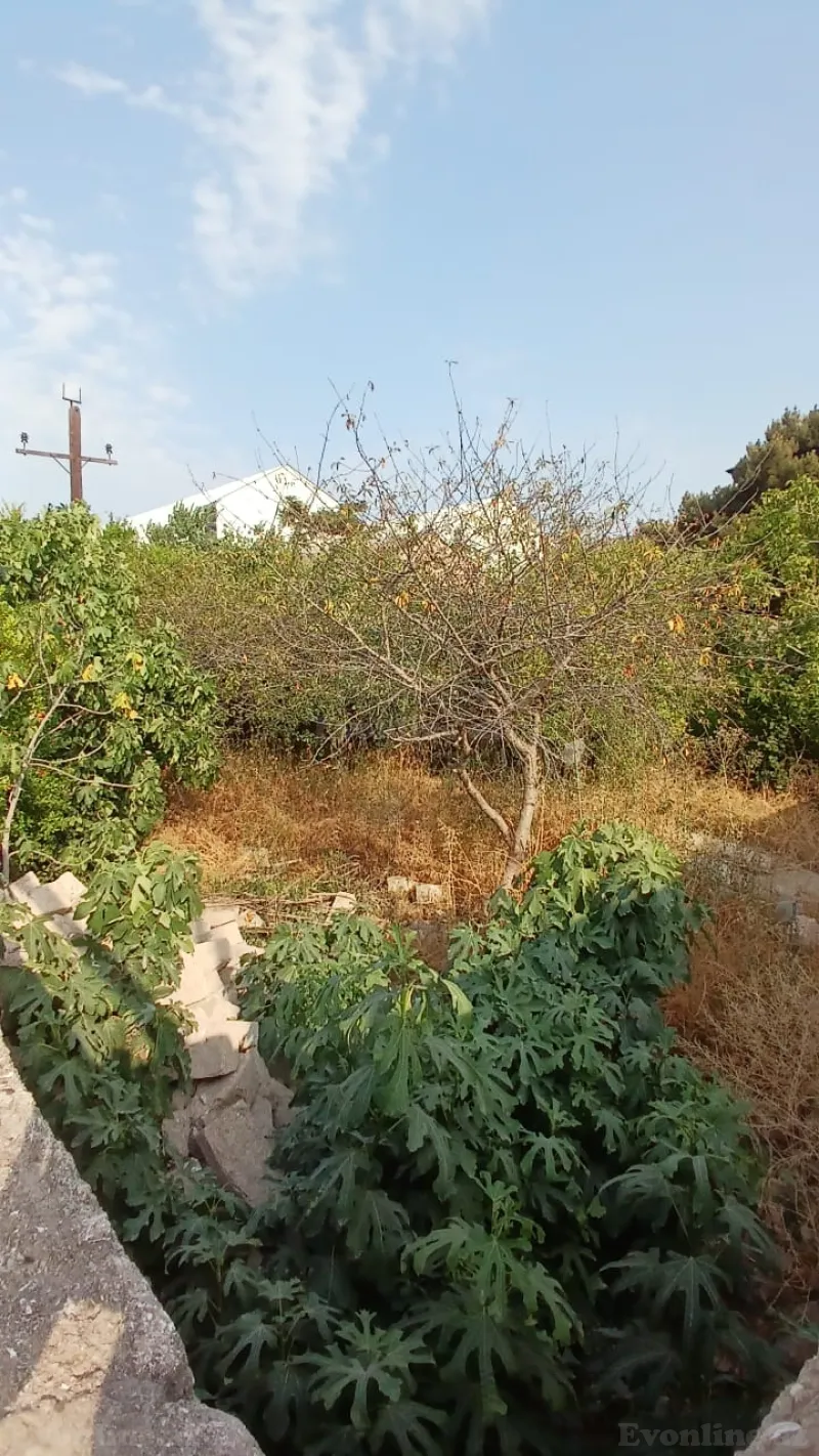 Satılır Torpaq 3 sot Bakıxanov - şəkil 6