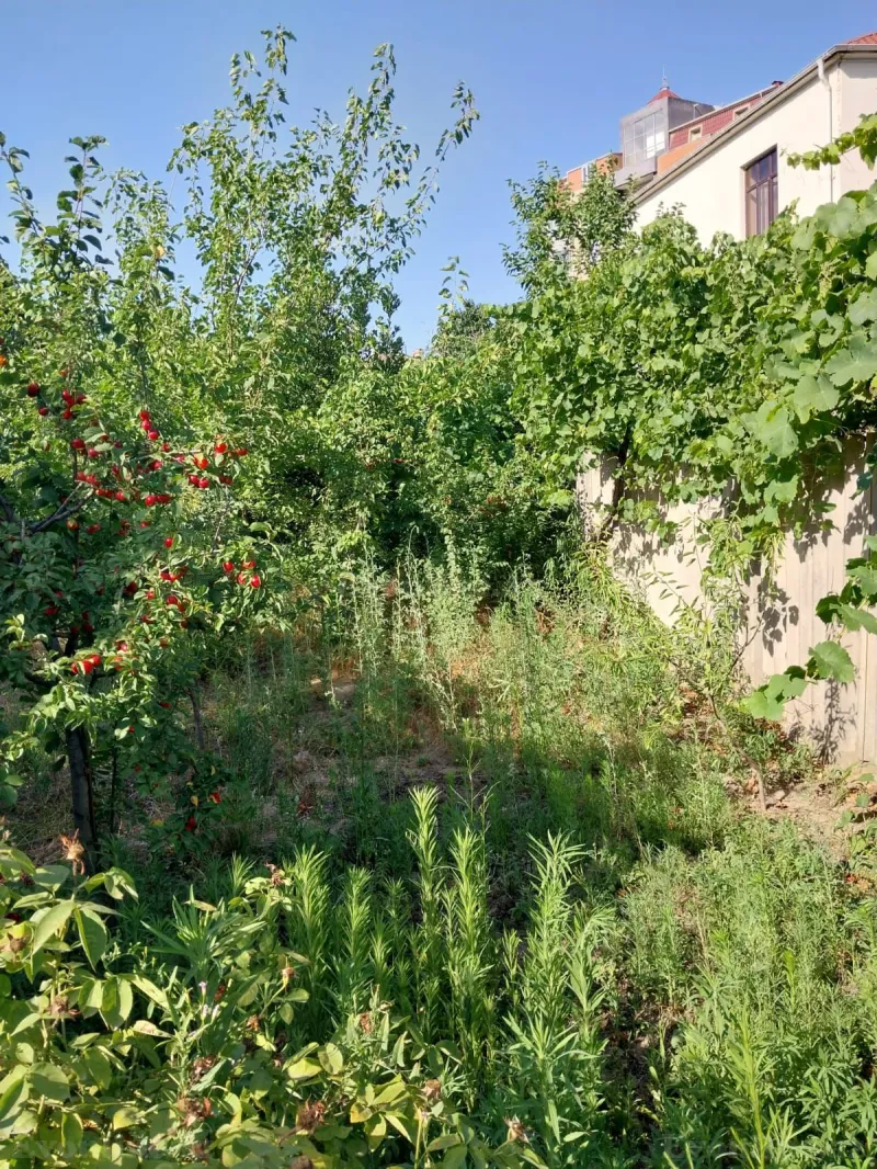 Satılır 8 otaqlı Həyət evi 250 m² Bakıxanov - şəkil 21