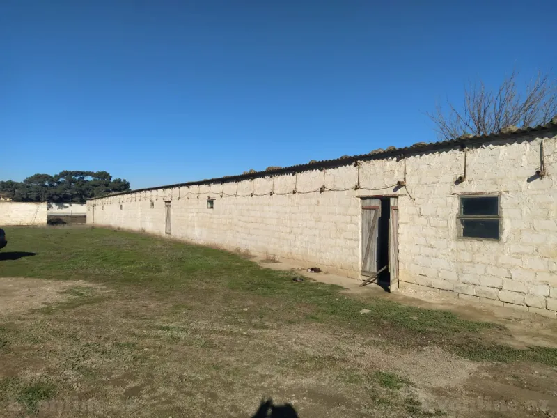 Satılır Torpaq 105 sot Suraxanı - şəkil 3