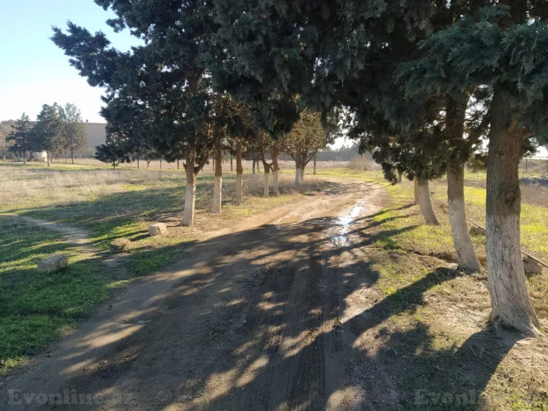 Satılır Torpaq 105 sot Suraxanı - şəkil 8