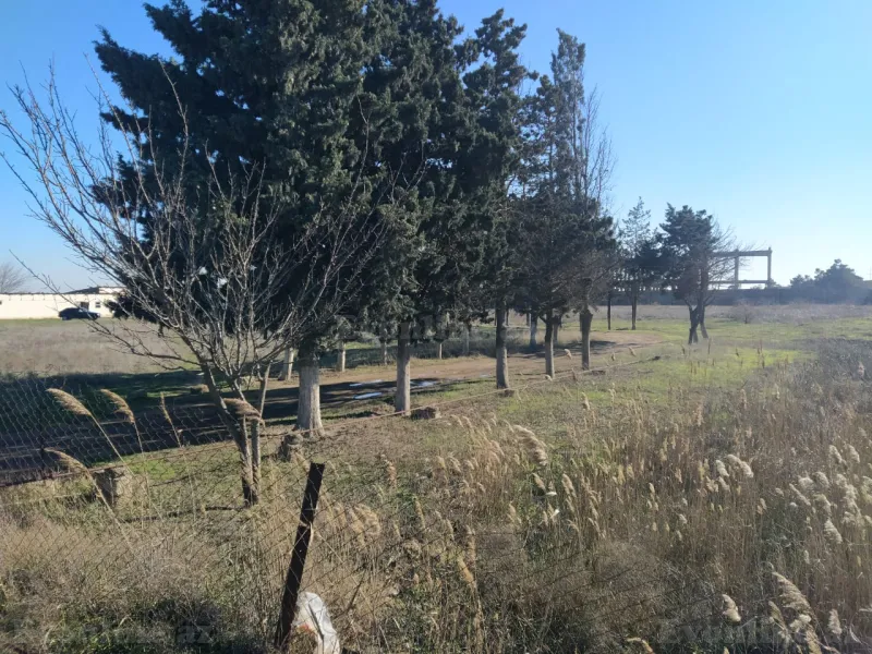 Satılır Torpaq 105 sot Suraxanı - şəkil 9