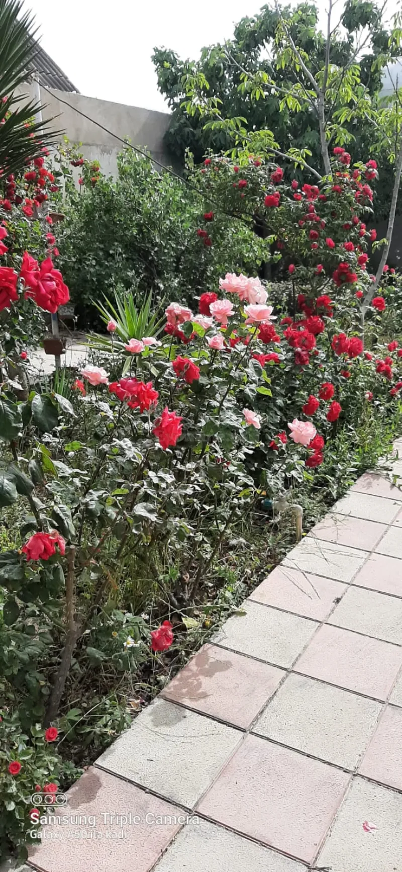 Satılır 4 otaqlı Həyət evi 121 m² Hövsan - şəkil 17