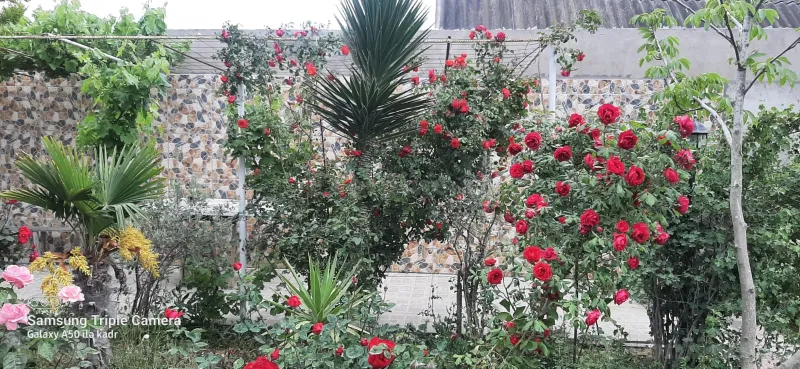 Satılır 4 otaqlı Həyət evi 121 m² Hövsan - şəkil 19