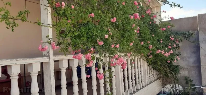 Satılır 4 otaqlı Həyət evi 121 m² Hövsan - şəkil 22