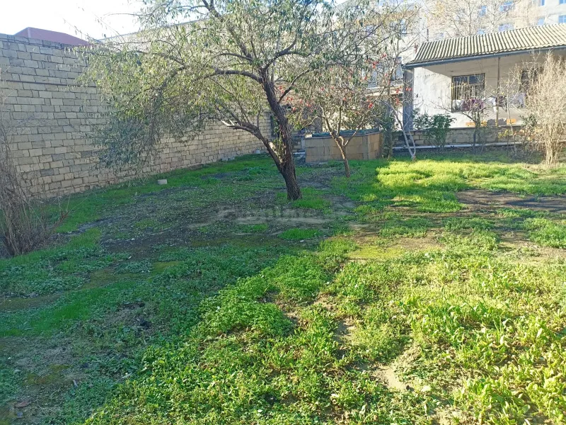 Satılır Torpaq 7 sot Badamdar - şəkil 3