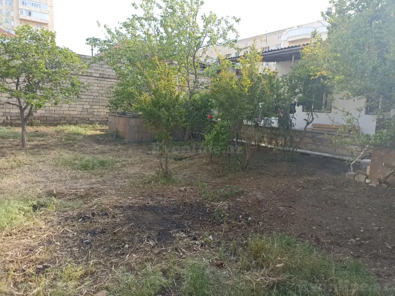 Satılır Torpaq 7 sot Badamdar - şəkil 7