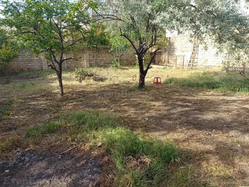 Satılır Torpaq 7 sot Badamdar - şəkil 9