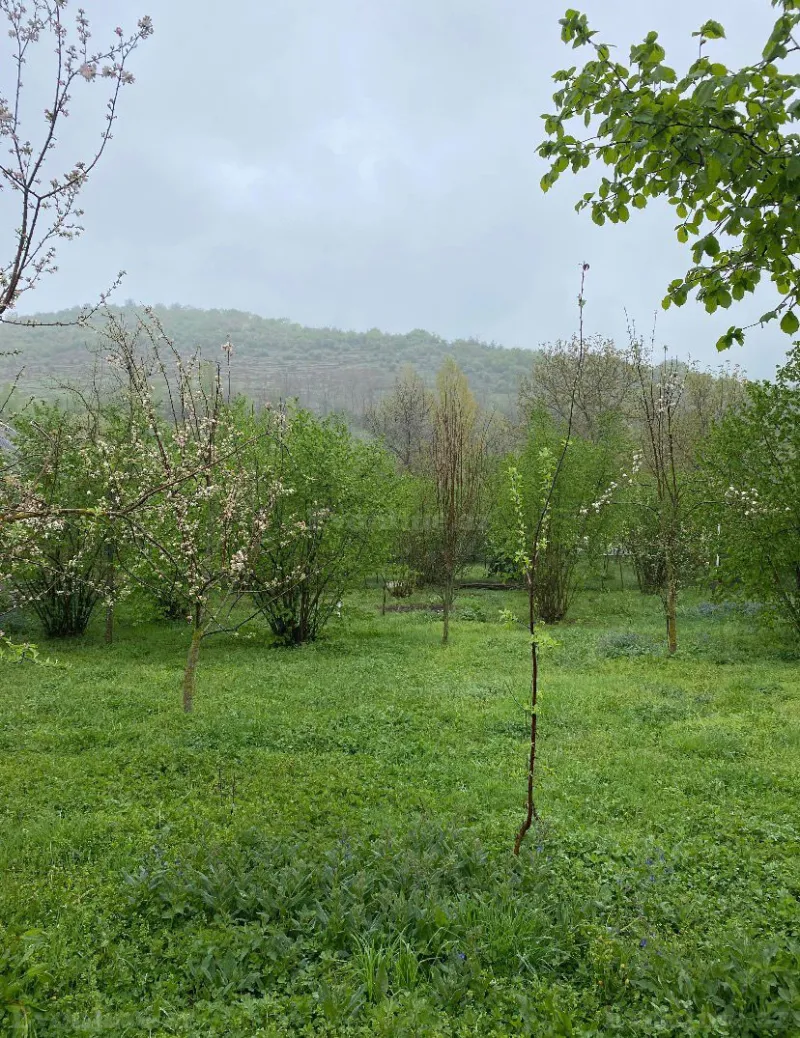 Satılır Torpaq 7 sot Qəbələ