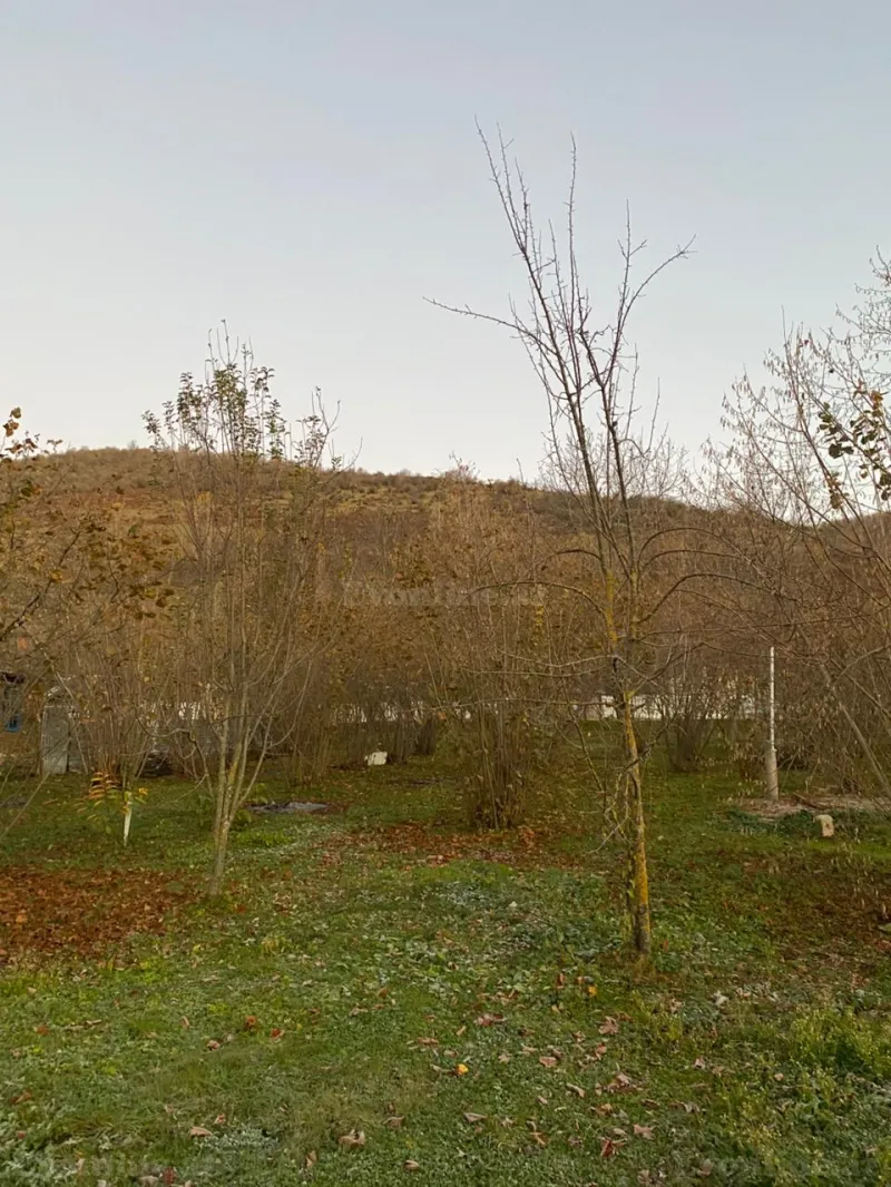 Satılır Torpaq 7 sot Qəbələ - şəkil 2