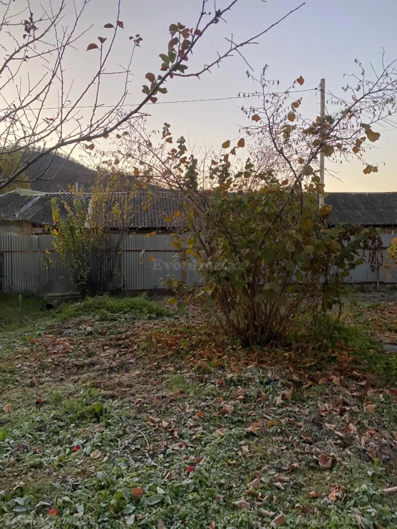 Satılır Torpaq 7 sot Qəbələ - şəkil 4