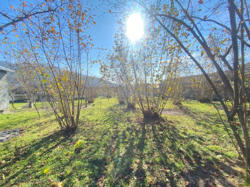 Satılır Torpaq 7 sot Qəbələ - şəkil 5