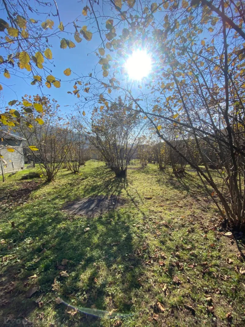 Satılır Torpaq 7 sot Qəbələ - şəkil 6