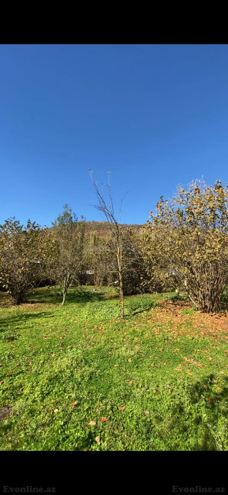 Satılır Torpaq 7 sot Qəbələ - şəkil 8