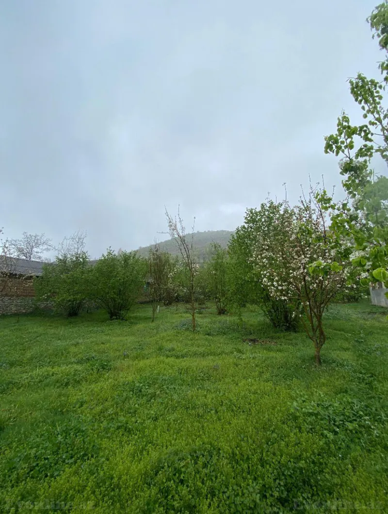 Satılır Torpaq 7 sot Qəbələ - şəkil 9