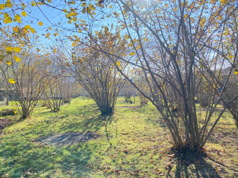 Satılır Torpaq 7 sot Qəbələ - şəkil 10