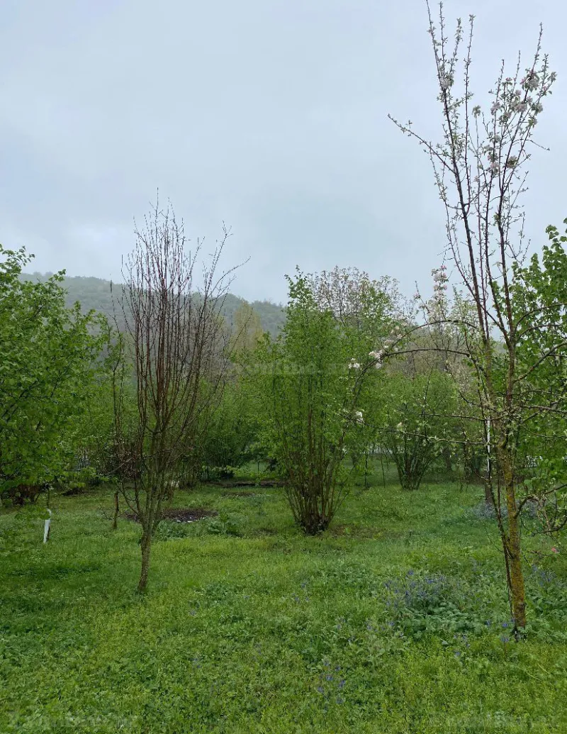 Satılır Torpaq 7 sot Qəbələ - şəkil 11