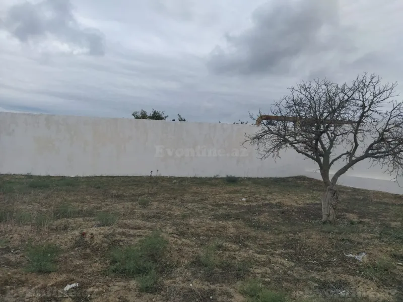 Satılır Torpaq 12 sot Qala - şəkil 13