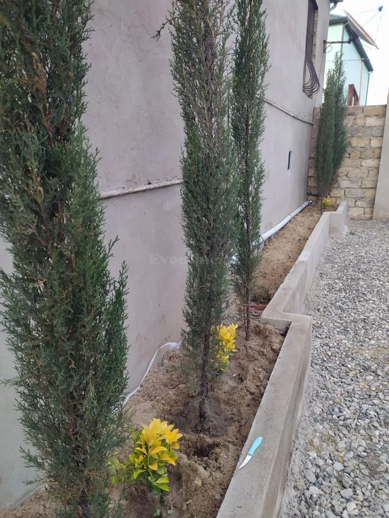 Satılır 3 otaqlı Həyət evi 125 m² Novxanı - şəkil 18