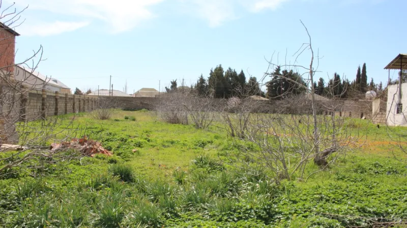 Torpaq Albalılıq Satılır