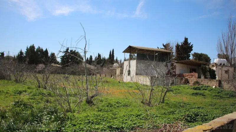 Satılır Torpaq 40 sot Albalılıq - şəkil 2