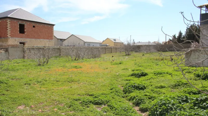 Satılır Torpaq 40 sot Albalılıq - şəkil 4