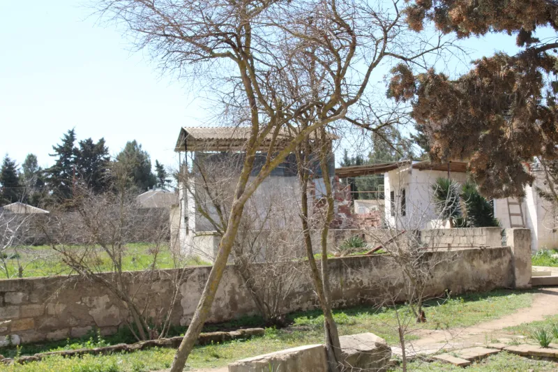 Satılır Torpaq 40 sot Albalılıq - şəkil 8