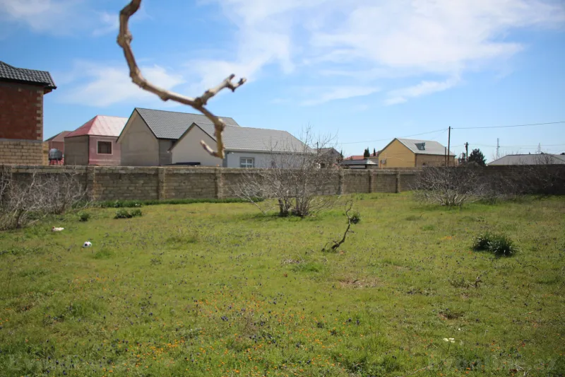 Satılır Torpaq 40 sot Albalılıq - şəkil 11