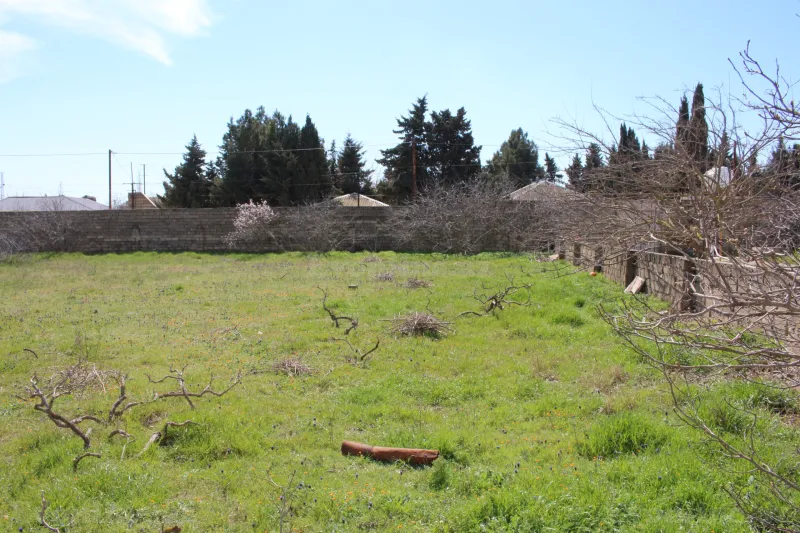 Satılır Torpaq 40 sot Albalılıq - şəkil 14