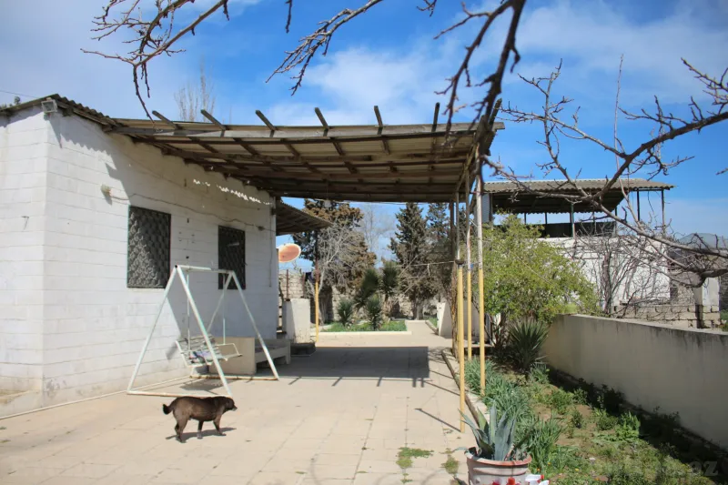 Satılır Torpaq 40 sot Albalılıq - şəkil 17