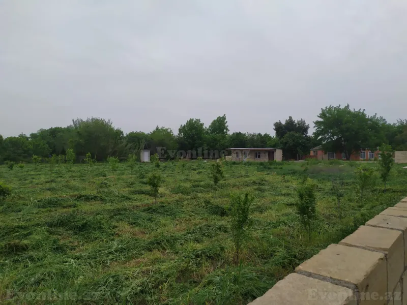 Satılır Torpaq 40 sot Tərtər