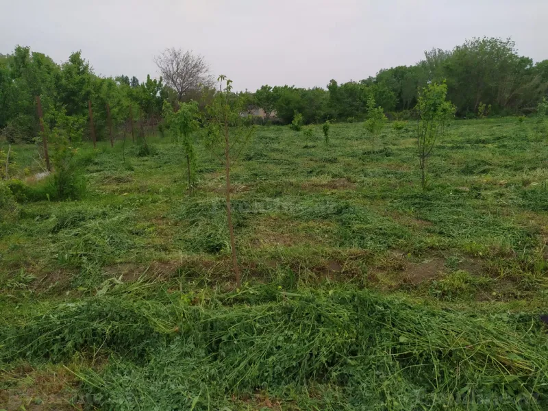 Satılır Torpaq 40 sot Tərtər - şəkil 3