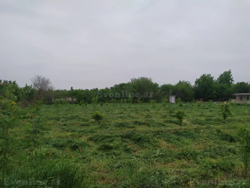 Satılır Torpaq 40 sot Tərtər - şəkil 7