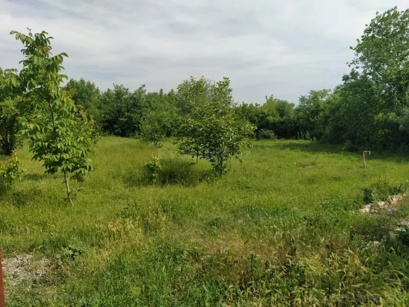 Satılır Torpaq 40 sot Tərtər - şəkil 27