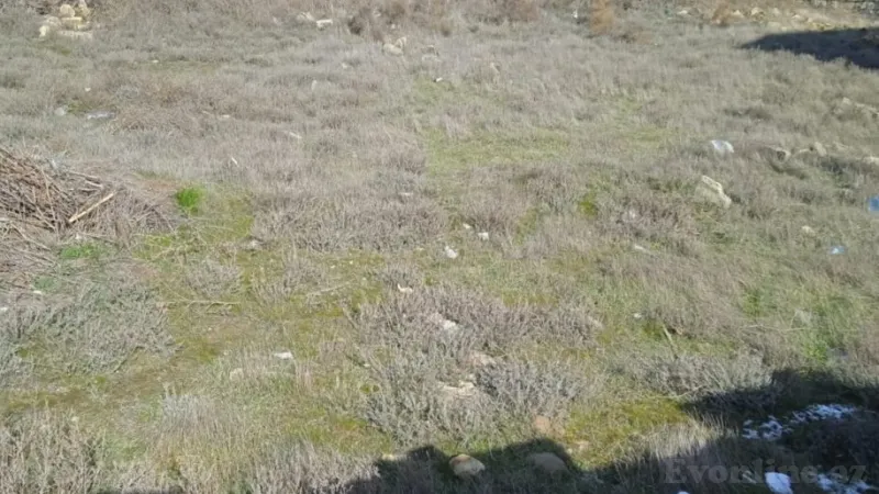 Satılır Torpaq 2.5 sot Badamdar