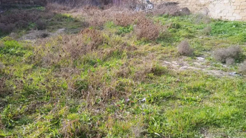 Satılır Torpaq 2.5 sot Badamdar - şəkil 2