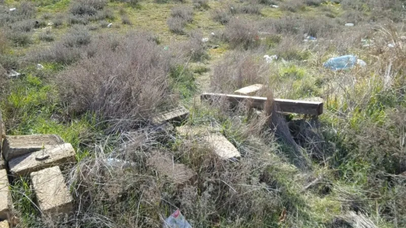 Satılır Torpaq 2.5 sot Badamdar - şəkil 4